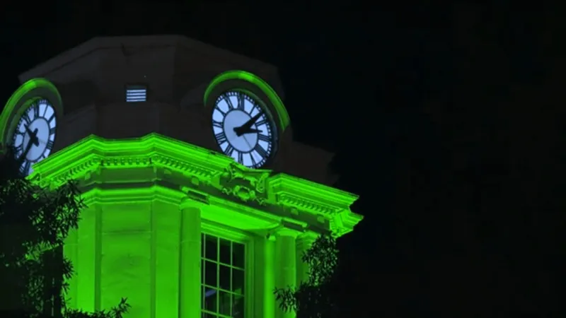 Green lights across Havelock will honor veterans and spotlight service through Nov. 11