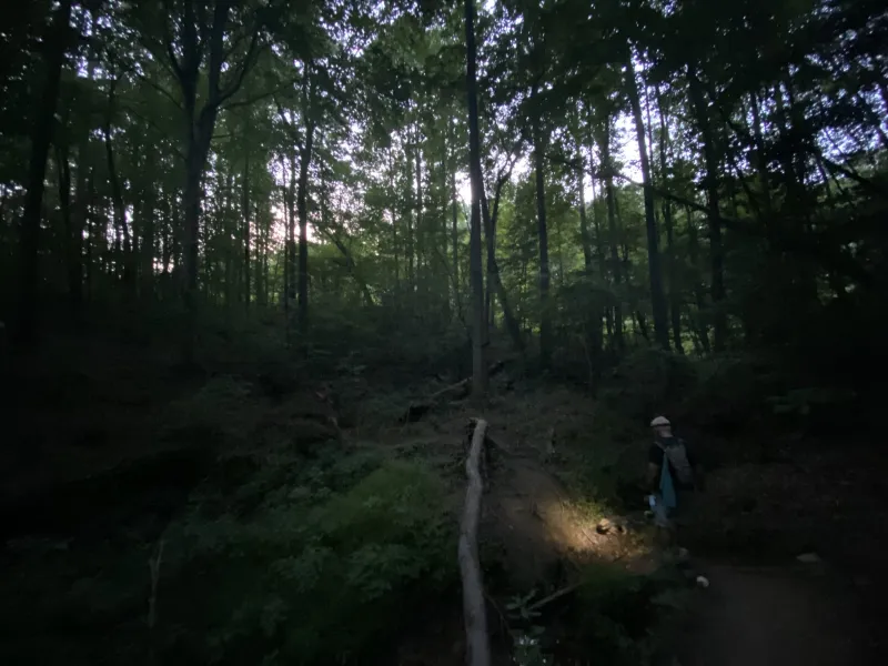 Recapturing the Night Hike