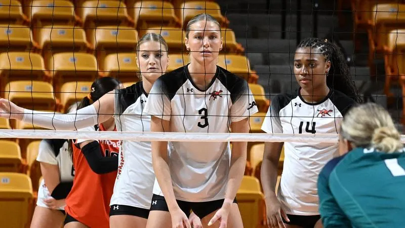 Camels set to visit Hampton