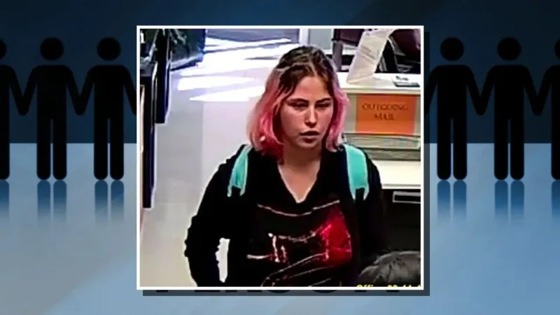 Duplin County deputies seek missing 16-year-old last seen at Wallace-Rose Hill High School