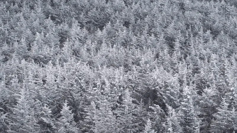 NOAA's winter outlook released: What it means for western North Carolina