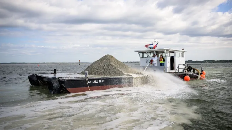 N.C. Marine Fisheries seeks input on Hyde-to-New Hanover oyster habitat proposals