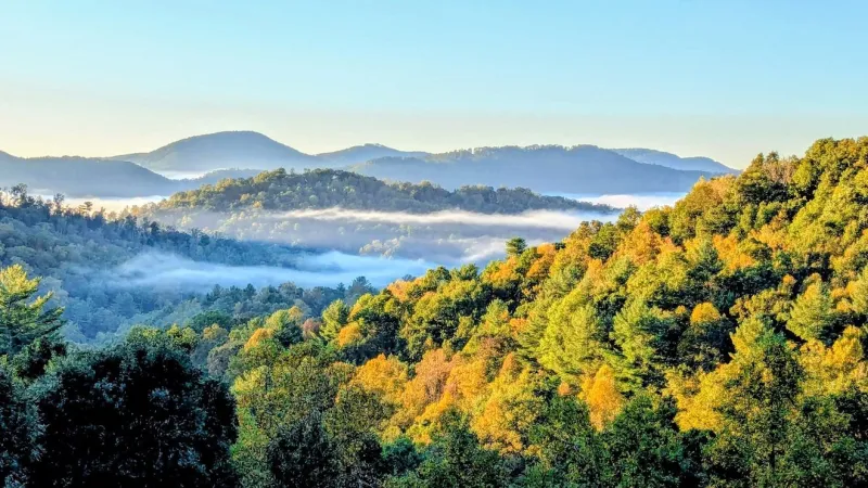 GALLERY | Fall color in western North Carolina 2026