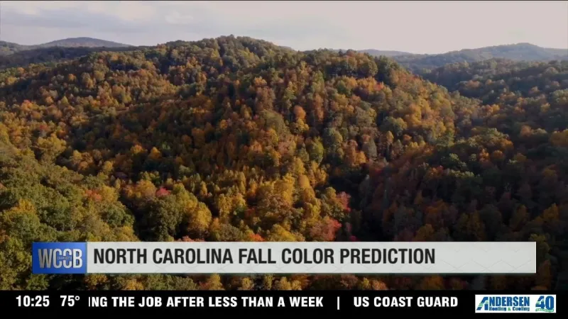 Fall leaf expert: Go to NC mountains now through next weekend for peak colors