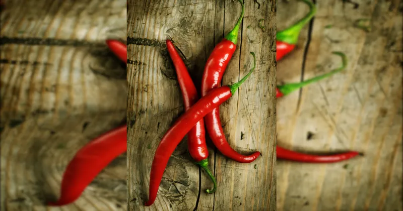 Why do we love fiery foods if they hurt?