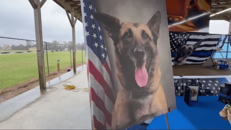 Chili's Voice hosts Pitt County celebration of life for K9 Chili at fairgrounds