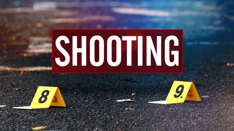 Juvenile arrested after shots fired at Edenton McDonald's, victim hospitalized