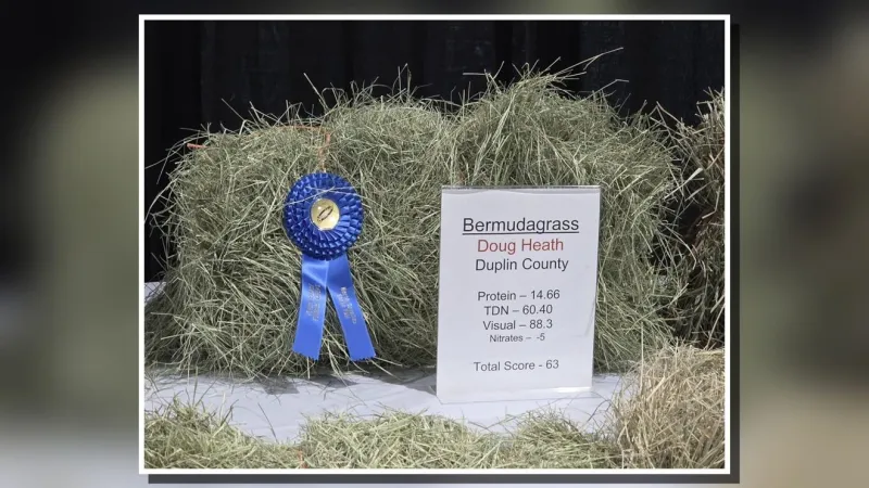 Duplin County hay producer takes top prize at N.C. State Fair