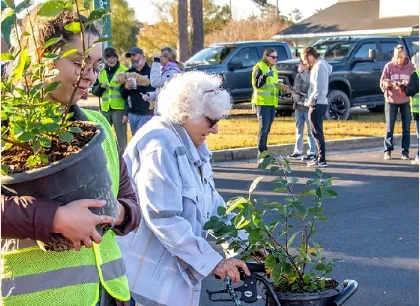 Alliance for Cape Fear Trees giveaway set for Nov. 7