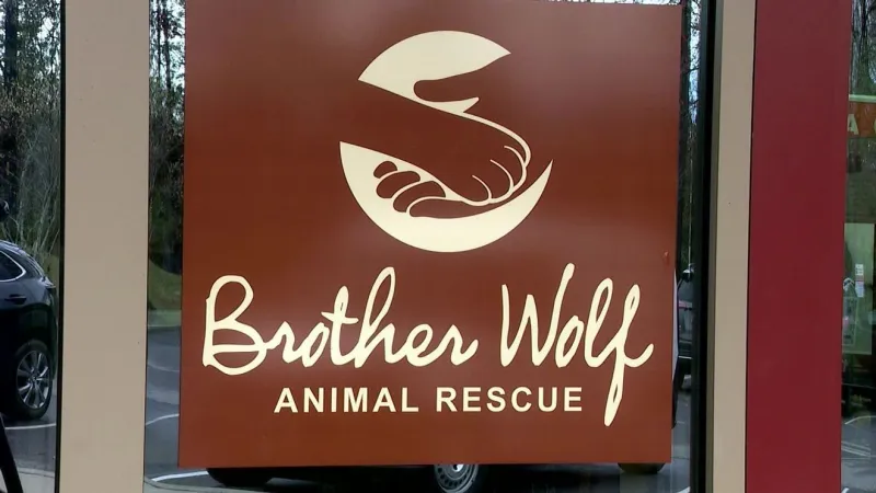 Brother Wolf plans floor unveiling, rebuild celebration for Helene recovery