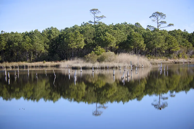 NC Land and Water Fund selects coastal projects for grants