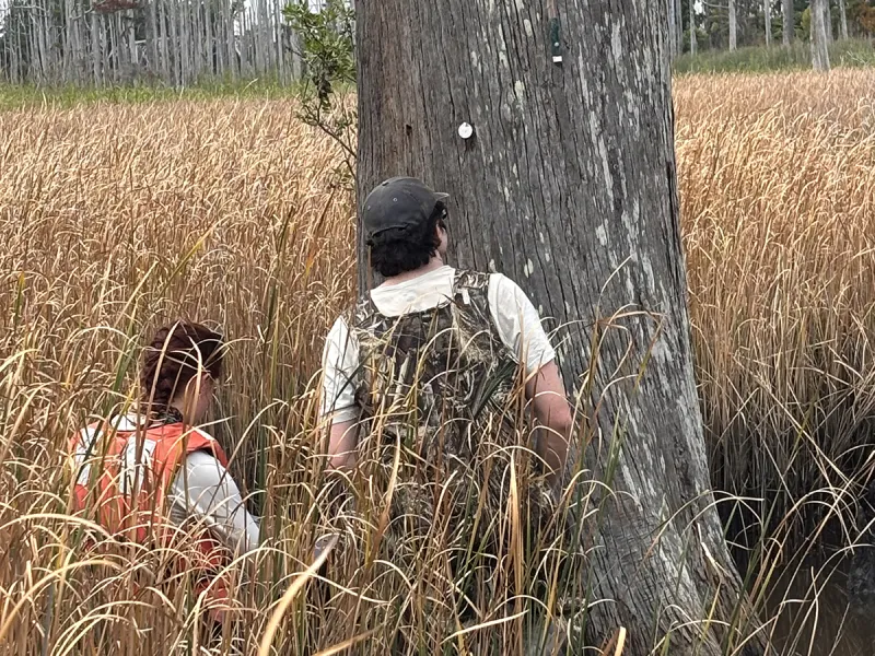 At 871 years, Smith Creek's oldest known cypress imperiled