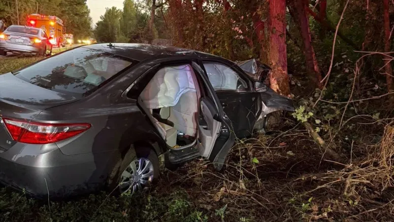 Responders direct traffic after vehicle leaves road, strikes tree in Wayne County