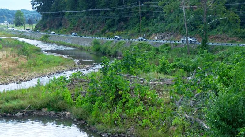 Construction begins on temporary bridge near WNC Nature Center
