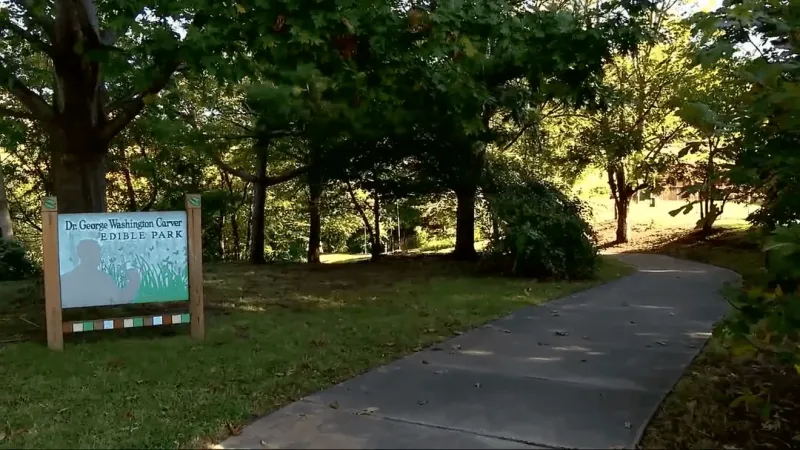 Asheville nonprofit expands fresh food resources to reduce grocery costs