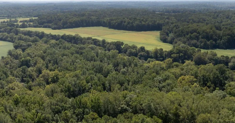 Forsyth County forgot it owned 20 acres. Now the property has been sold