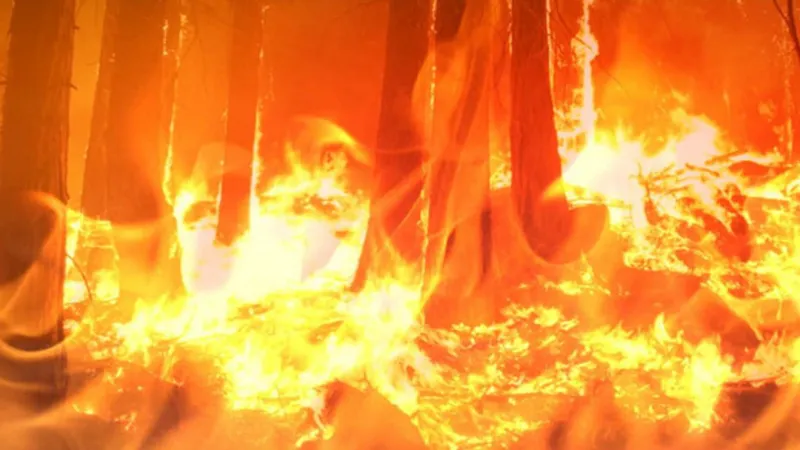 Burned: Governor visits western Nebraska in wake of relief efforts