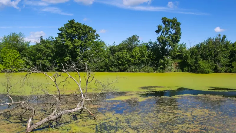 Health Alert issued for Iron Horse Trail Lake, extended for Rockford Lake