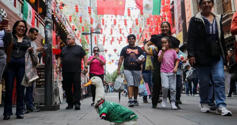 Merlin the duck: From Mexico City streets to World Cup stardom