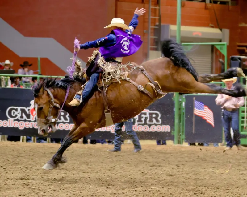 Bronc riding brothers share CNFR experience
