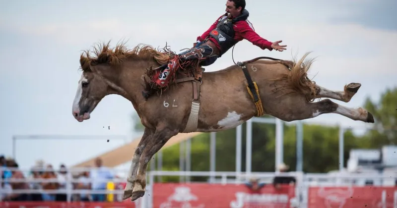 Garrett Shadbolt wins third title at Buffalo Bill Rodeo