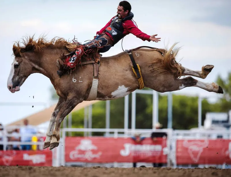 Buffalo Bill Rodeo: Three-peat champion