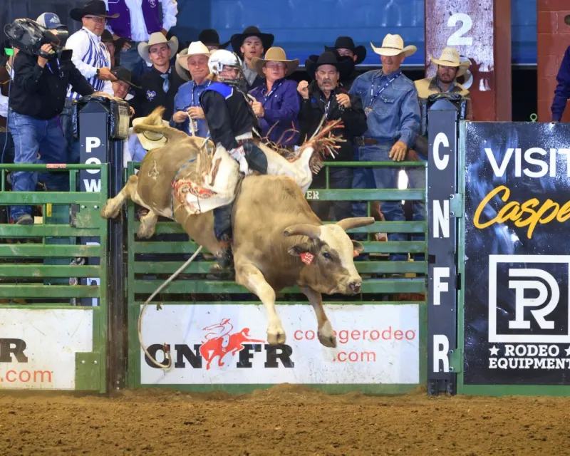 Champions crowned at 2026 College National Finals Rodeo