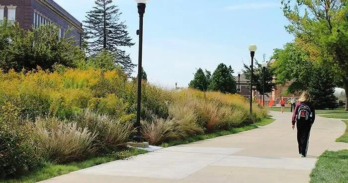 Wayne State College completes second week of new student registration activities