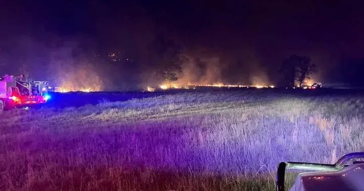 Log Road Fire grows to more than 1,000 acres