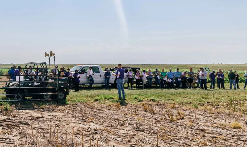 Practical research to help producers