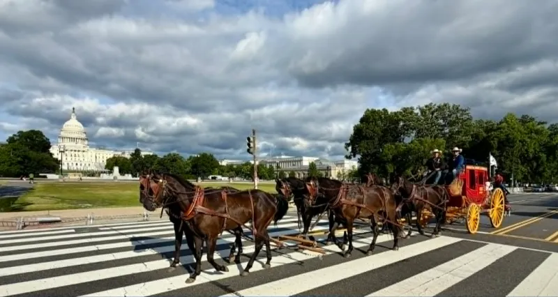 The cowboy way: Rodeo 250 in the nation's capital showcases western heritage