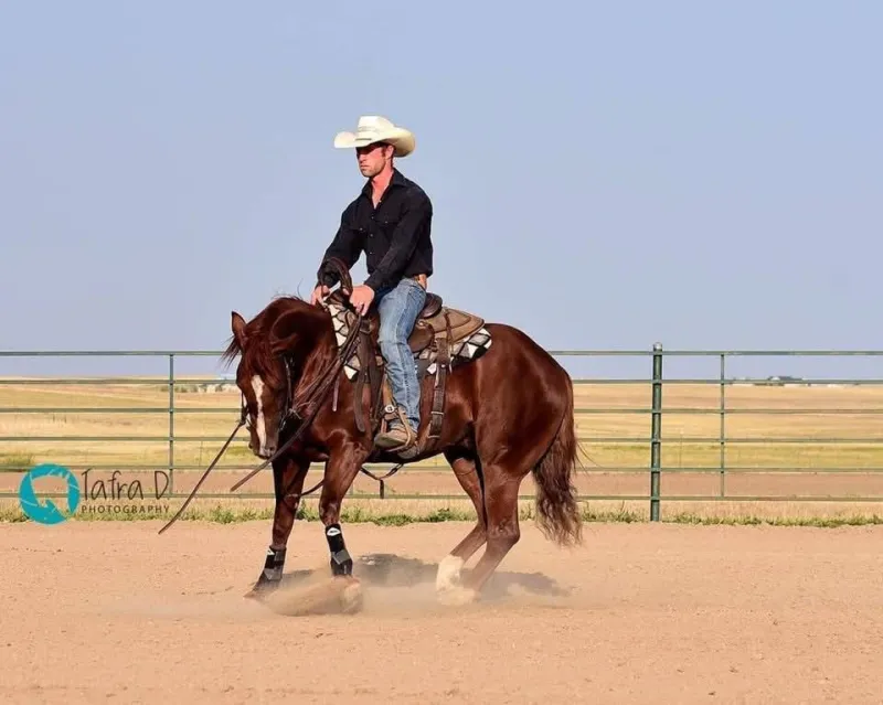 Ranch Horse Round Up