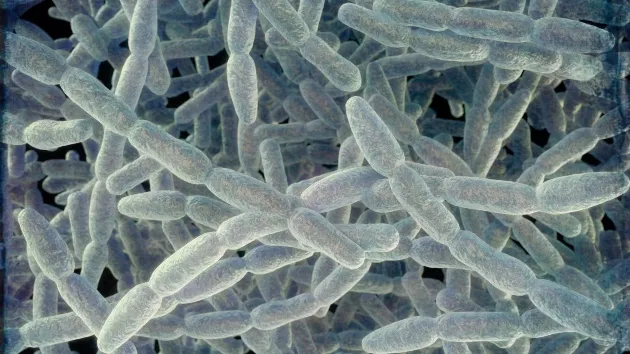 Nearly 2 dozen sickened in Legionnaires' disease cluster in New York City