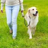Dog Jog 5K in Scottsbluff will support Panhandle Humane Society