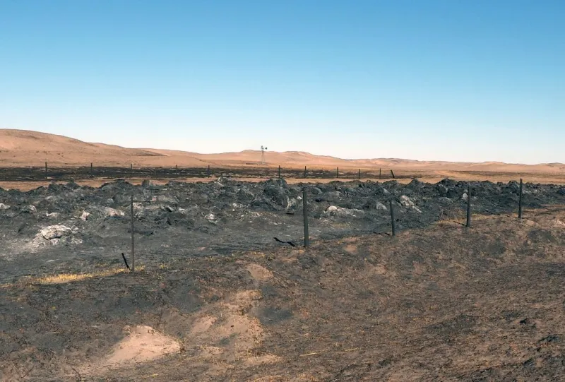 Nebraska Grazing Lands Coalition offers free post-wildfire stewardship support for ranchers