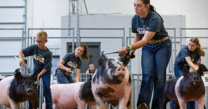 Jennifer Brhel: Reflecting on a national meeting, and an Extension career