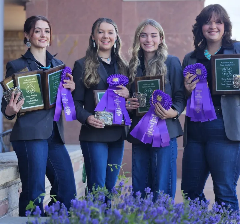 Boulder County 4-H Horse Judging Team earns state championship
