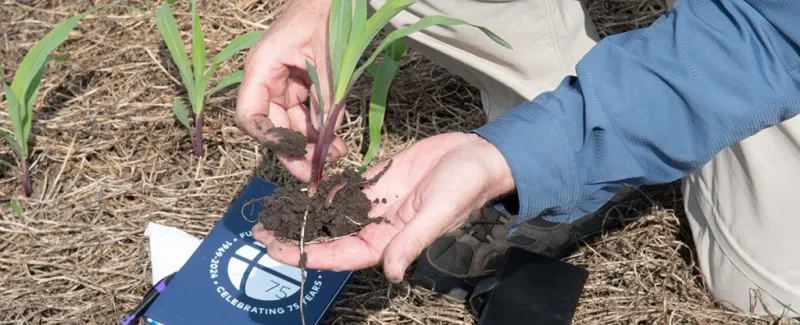 Kansas farm family highlights success with regenerative agriculture