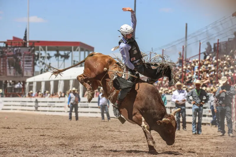 Vaughan dominates Cheyenne Frontier Days bull riding