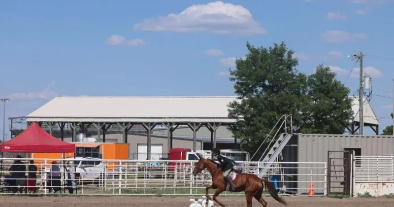 Under a blazing sun, 4-H riders showcase skill and dedication at county fair