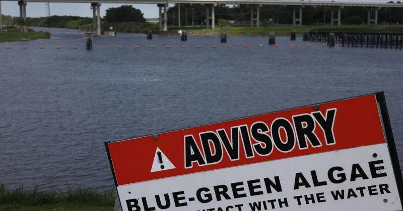 Health alert continued at Rockford Lake