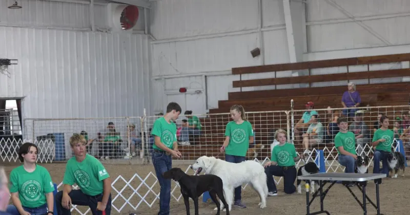 Showmanship champion reflects on her win at the Lincoln County Fair dog show