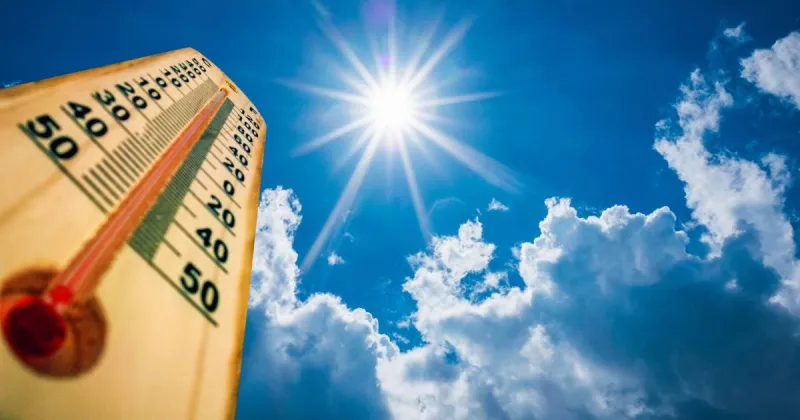 Kerry Hoffschneider: It's a 'drizzly delicious' summer heat