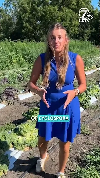 Cyclospora outbreak: Farmers see increase in demand as more cases confirmed in Nebraska (Video)