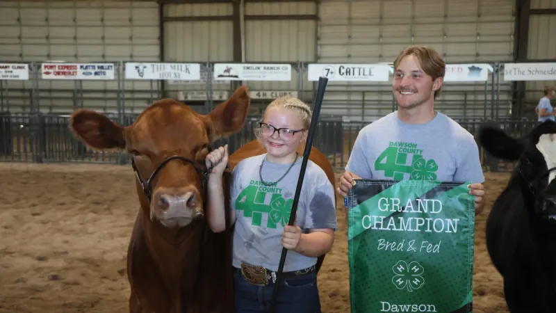 2026 4-H Beef Dawson County results