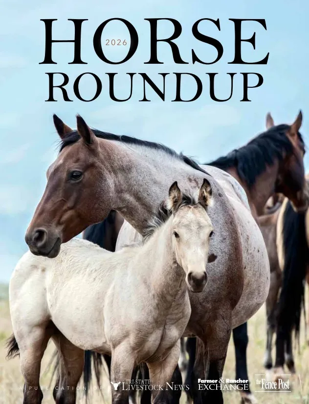 2026 Horse Roundup