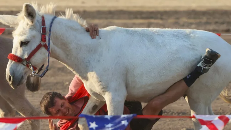 Gallery: Donkey baseball turns into racing at the Howard County Fair