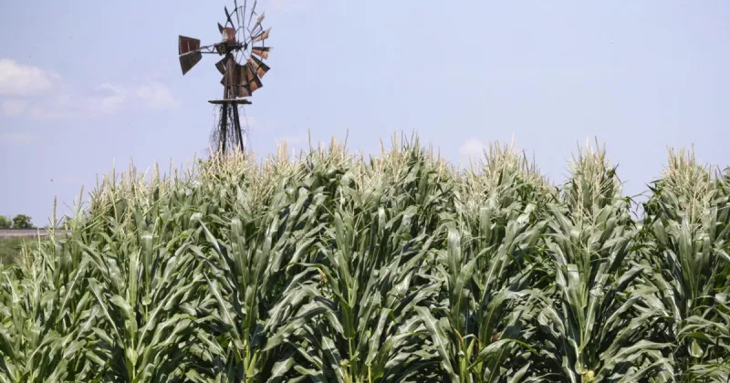 Learn about agricultural leases and financial risk management at Aug. 26 workshop