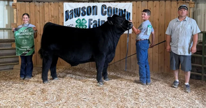 Overton's Owen Lassen earns overall grand champion market beef champion at Dawson County Fair; other beef show results