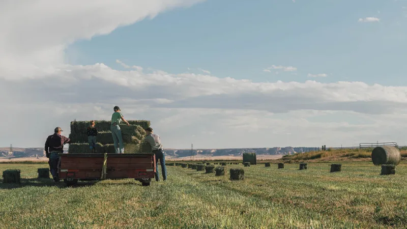 Expanded former ag leaders group urges hearings on farm policy